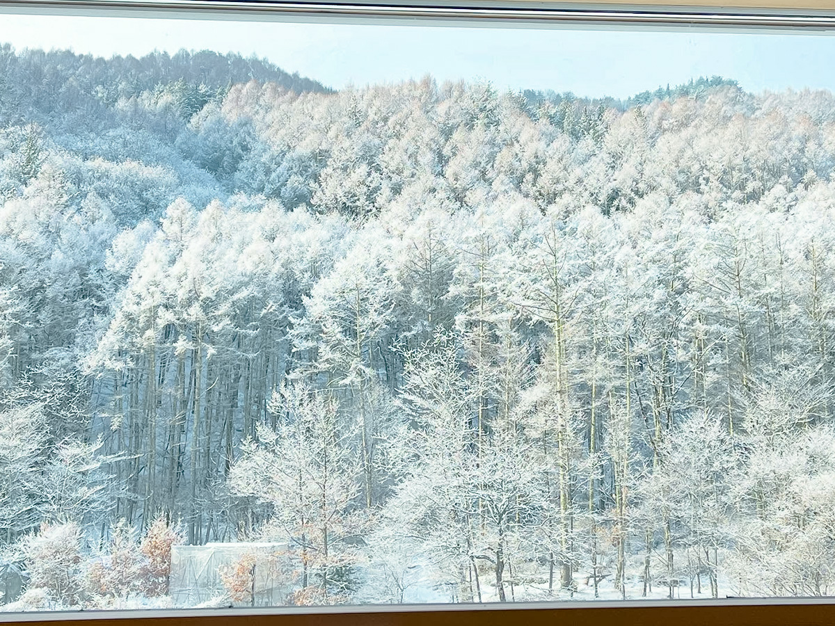 Camp mukuの場内の写真